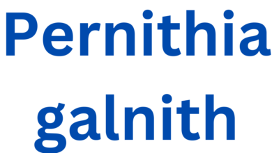 pernithia galnith