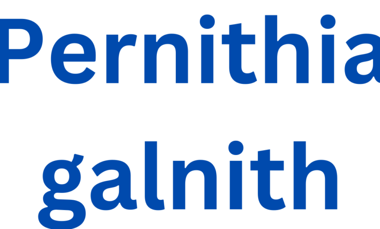 pernithia galnith